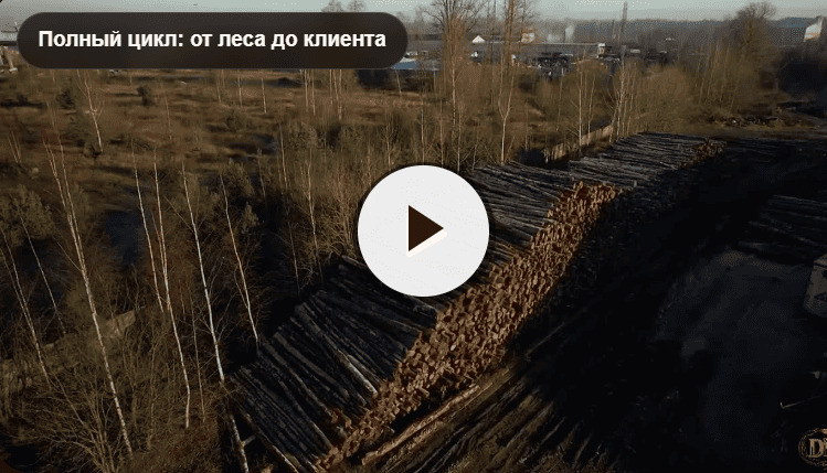 Полный цикл: от леса до клиента